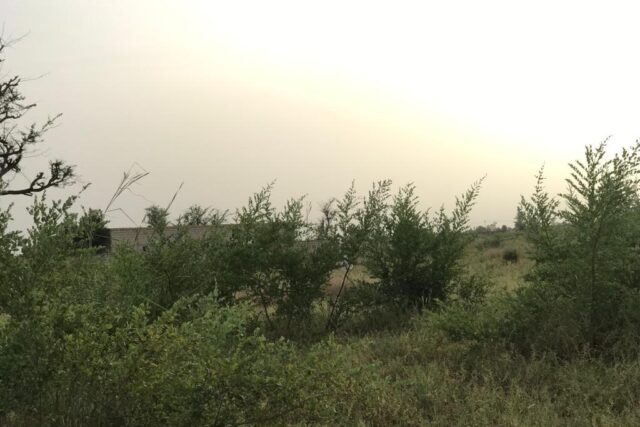 Vente Terrain DALLA NGABOU SENEGAL  