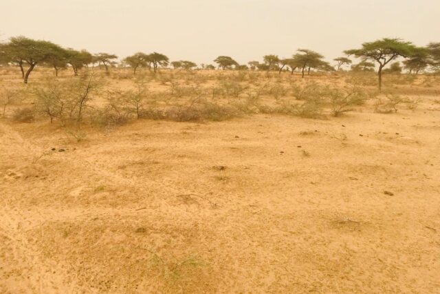 Vente Terrain DIAMA SENEGAL  