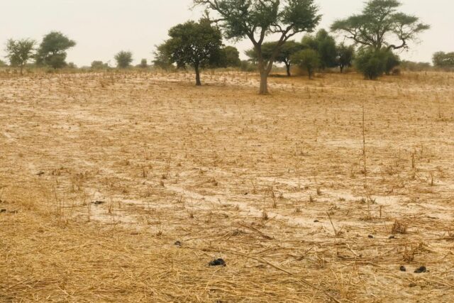 Vente Terrain DIOURBEL SENEGAL  