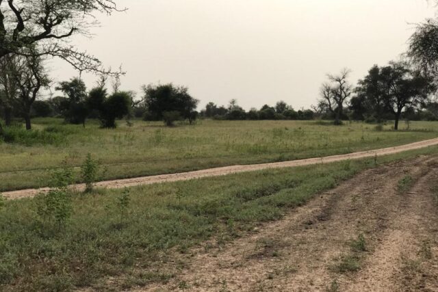 Vente Terrain DIOURBEL SENEGAL  