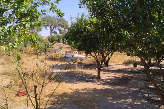 Vente Terrain DIOURBEL SENEGAL  