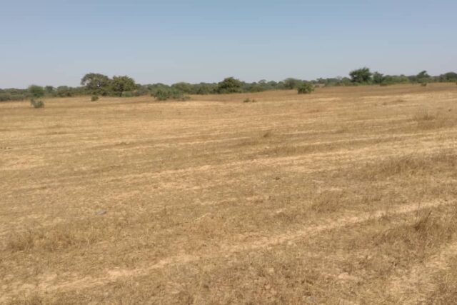 Vente Terrain DIOURBEL SENEGAL  