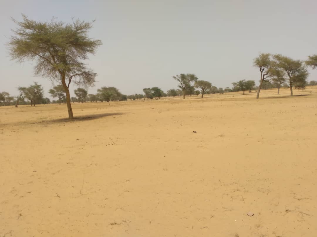 Vente Terrain DIOURBEL SENEGAL  