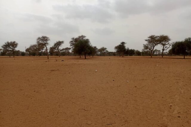 Vente Terrain DIOURBEL SENEGAL  