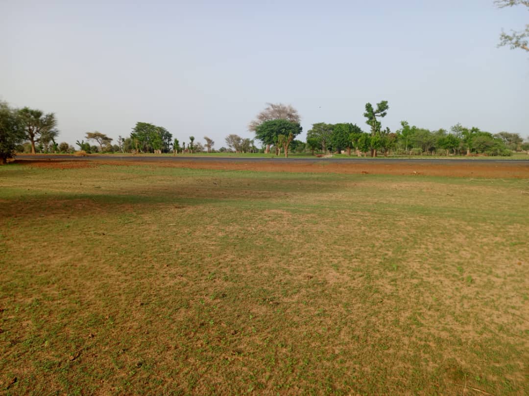 Vente Terrain DIOURBEL SENEGAL  