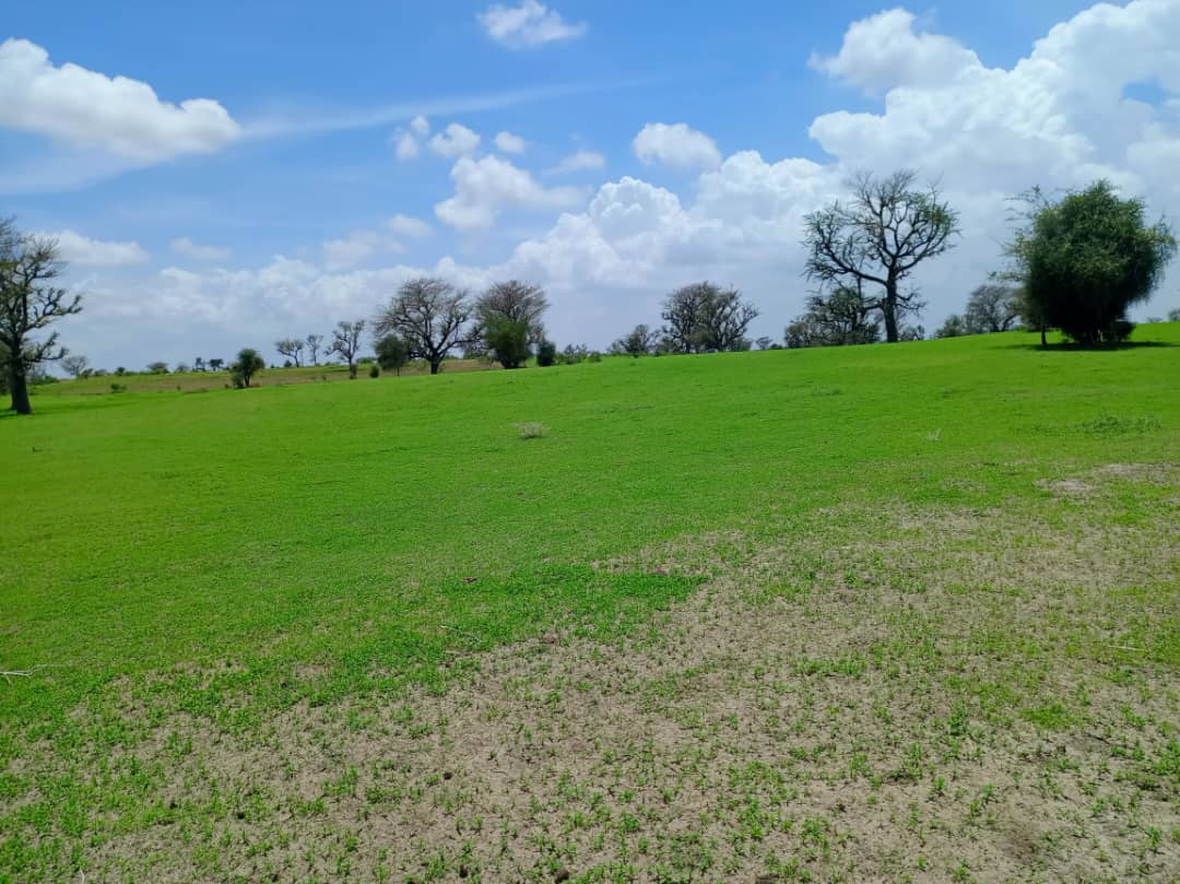 Vente Terrain DIOURBEL SENEGAL  