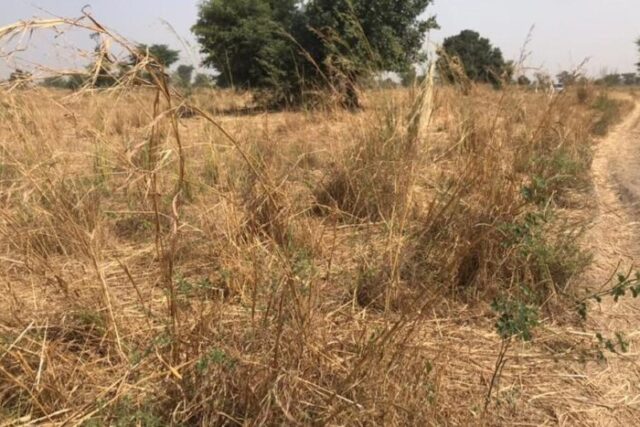 Vente Terrain DJILASS SENEGAL  