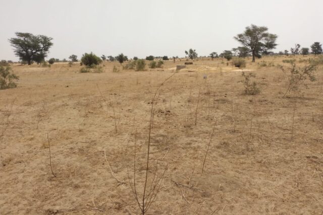 Vente Terrain FATICK SENEGAL  