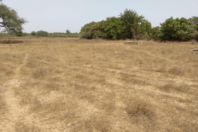 Vente Terrain FATICK SENEGAL  