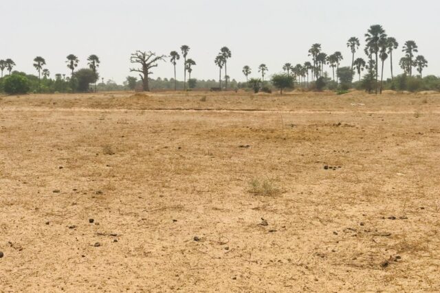 Vente Terrain FATICK SENEGAL  