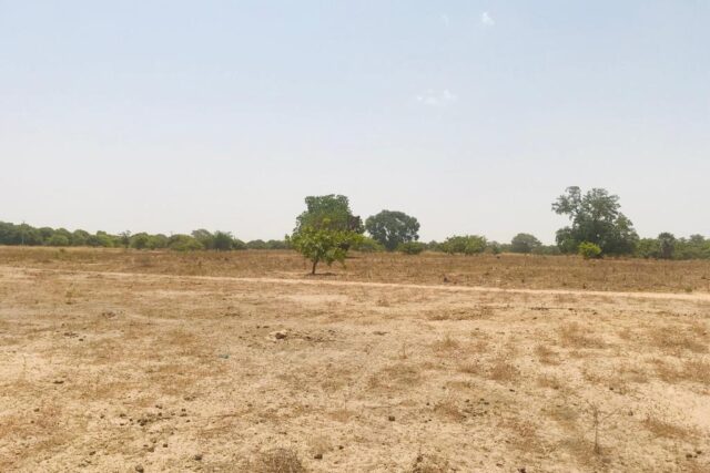 Vente Terrain FATICK SENEGAL  