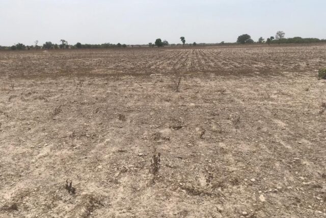 Vente Terrain FATICK SENEGAL  