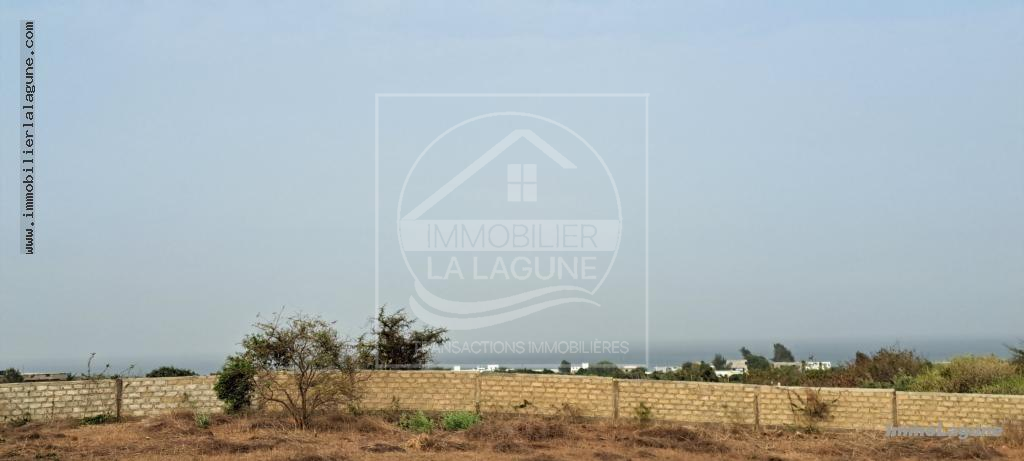 Vente Terrain GUEREO SENEGAL  