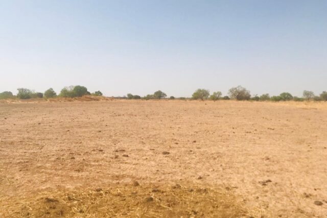 Vente Terrain KAFFRINE SENEGAL  