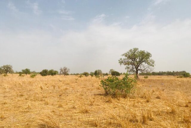 Vente Terrain KAFFRINE SENEGAL  