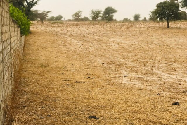 Vente Terrain KEUR SAMBA KANE SENEGAL  