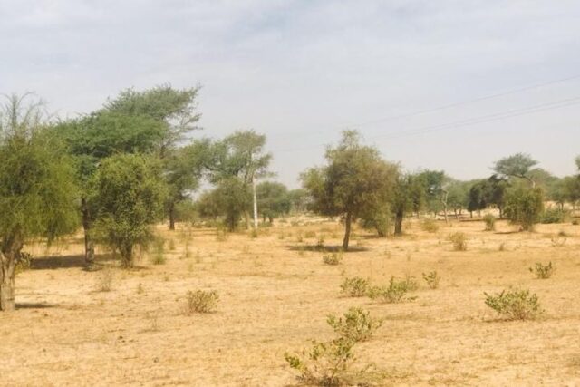 Vente Terrain KOUL SENEGAL  