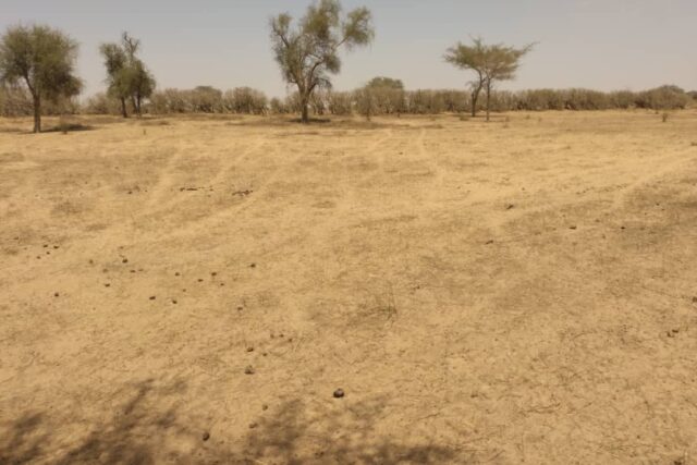 Vente Terrain LOUGA SENEGAL  