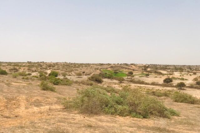 Vente Terrain LOUGA SENEGAL  
