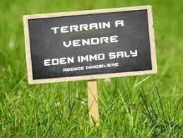 Vente Terrain MALICOUNDA SENEGAL  