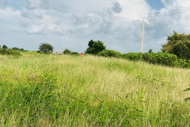 Vente Terrain MALICOUNDA SENEGAL  