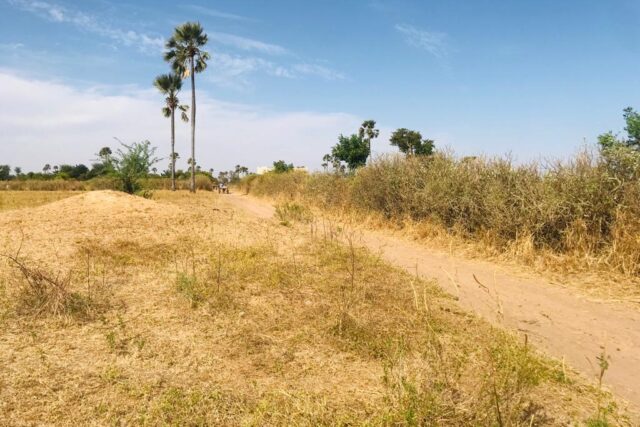 Vente Terrain MBOUR SENEGAL  