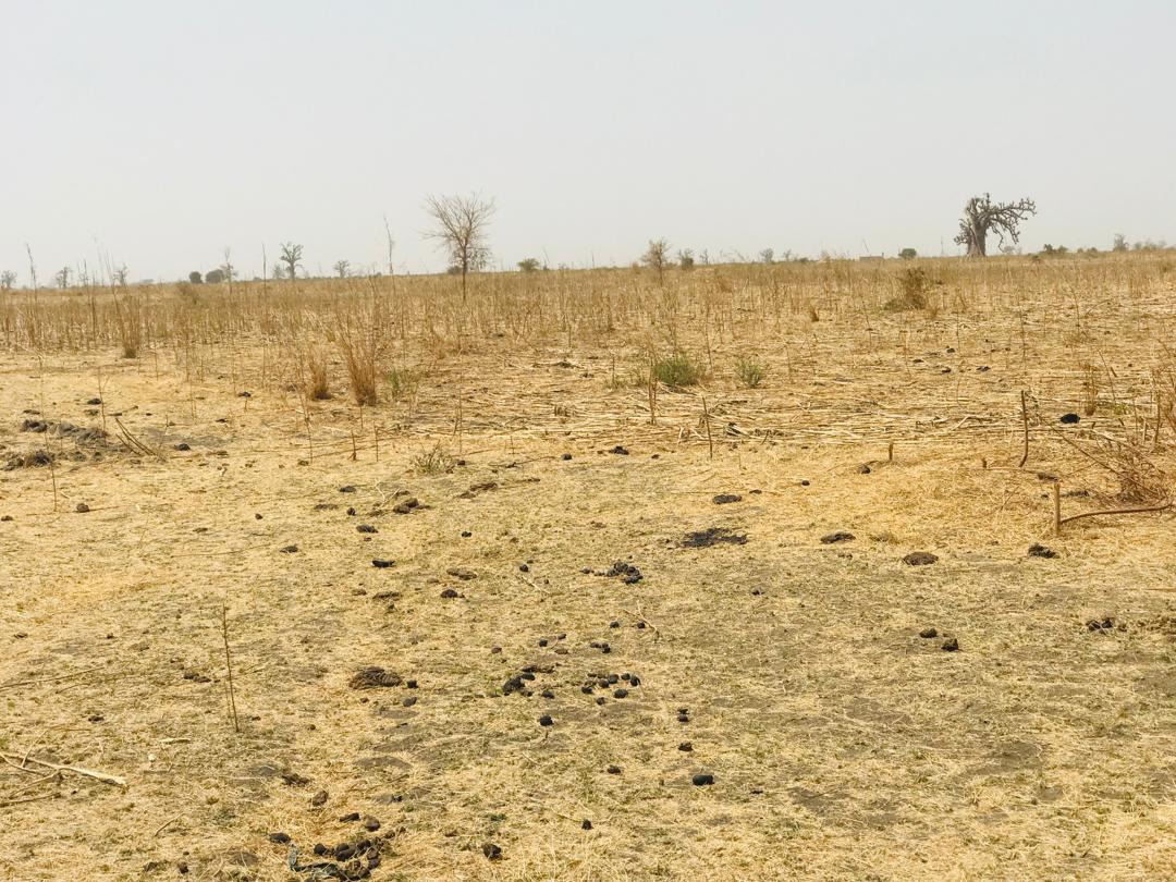 Vente Terrain MBOUR SENEGAL  
