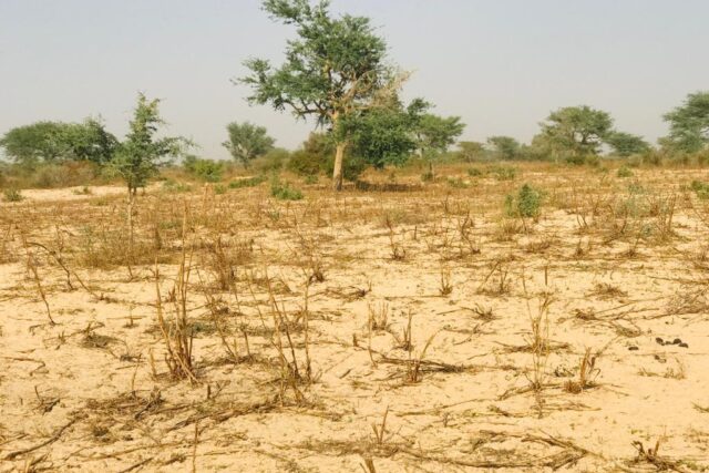 Vente Terrain MEOUANE SENEGAL  
