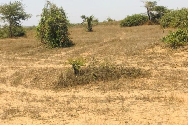 Vente Terrain MONT ROLAND SENEGAL  