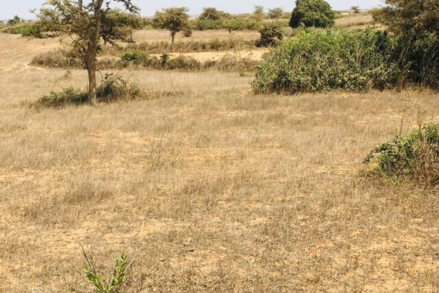Vente Terrain MONT ROLAND SENEGAL  