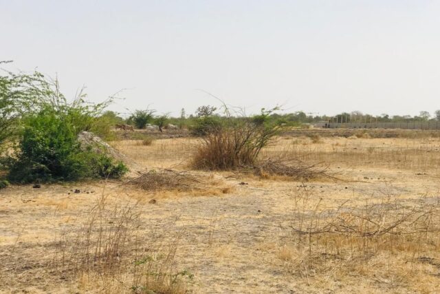 Vente Terrain NGUENIENE SENEGAL  