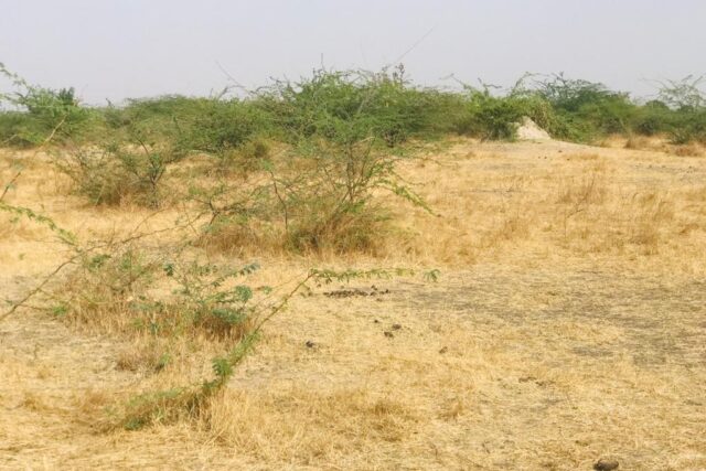 Vente Terrain NGUENIENE SENEGAL  