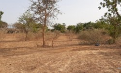 Vente Terrain NGUERIGNE BAMBARA SENEGAL  