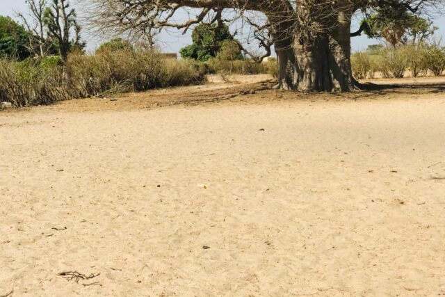 Vente Terrain NOTTO DIOBASS SENEGAL  