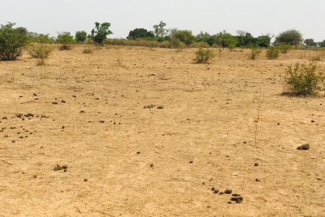 Vente Terrain NOTTO DIOBASS SENEGAL  