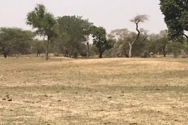 Vente Terrain PIRE SENEGAL  