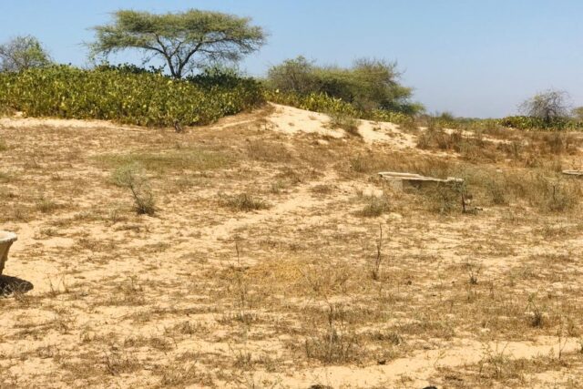 Vente Terrain SAINT-LOUIS SENEGAL  