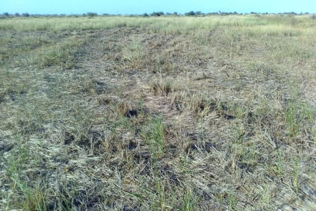 Vente Terrain SAINT-LOUIS SENEGAL  