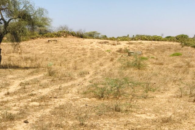 Vente Terrain SAINT LOUIS SENEGAL  