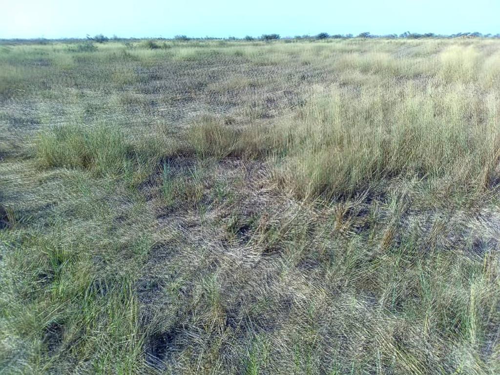 Vente Terrain SAINT LOUIS SENEGAL  