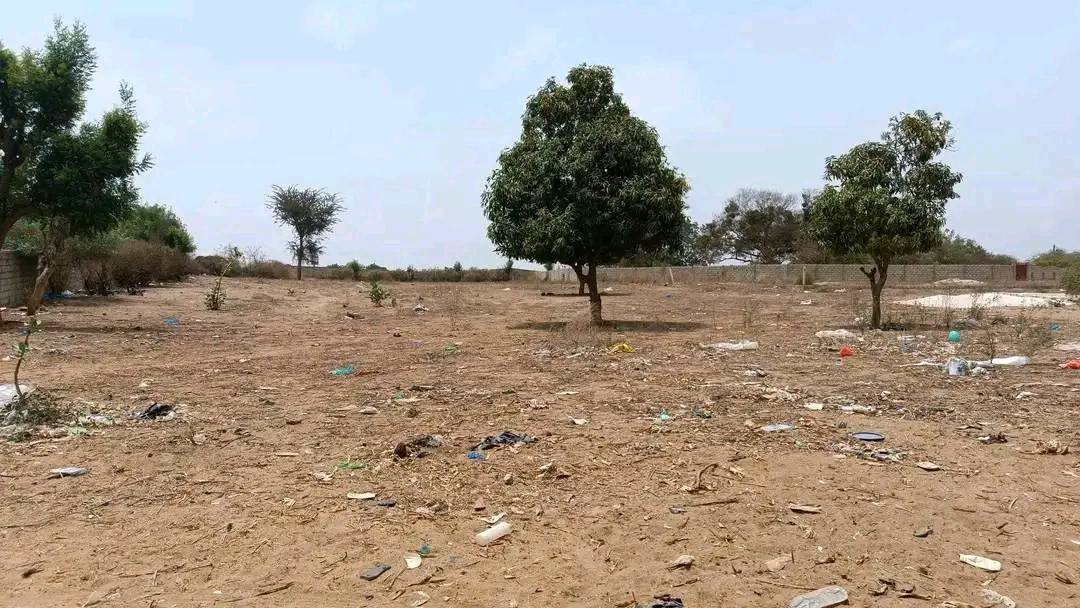 Vente Terrain SALY, NGAPAROU, NGERIGNE SENEGAL  