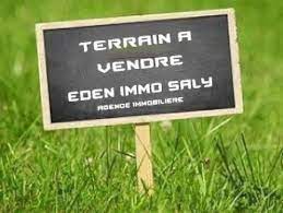 Vente Terrain SALY PORTUDAL SENEGAL  