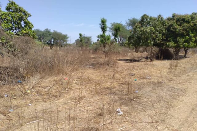 Vente Terrain SANDIARA SENEGAL  