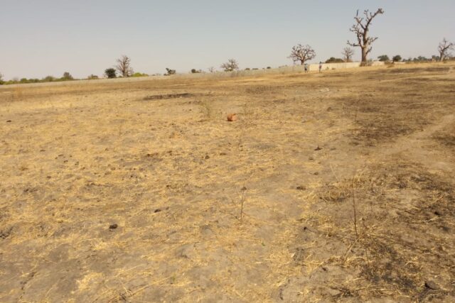 Vente Terrain SANDIARA SENEGAL  