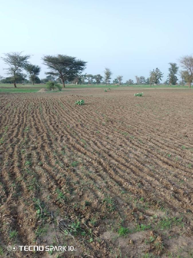 Vente Terrain SANDIARA SENEGAL  