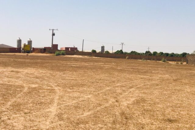Vente Terrain TASSETTE SENEGAL  