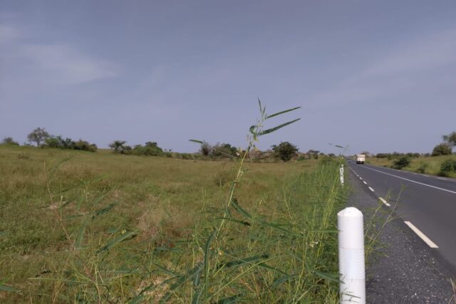 Vente Terrain THIEPPE SENEGAL  