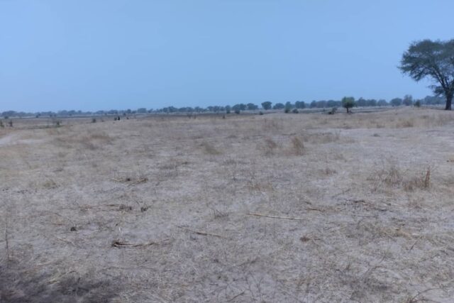 Vente Terrain THIES SENEGAL  