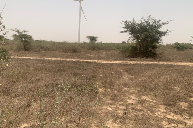 Vente Terrain THIES SENEGAL  