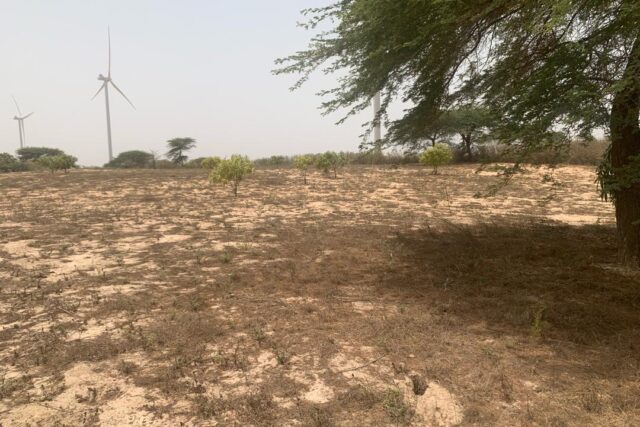 Vente Terrain THIES SENEGAL  